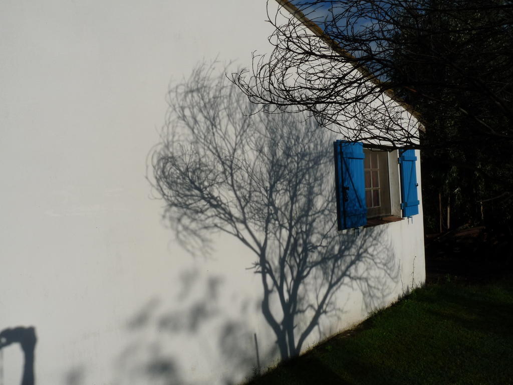 Couette-café Bergerie D'alivon En Camargue *