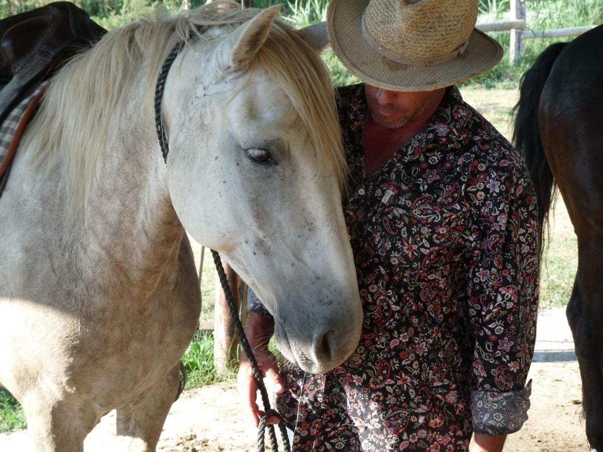 Bergerie D'alivon En Camargue Arles